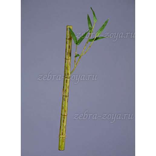 Бамбук стебель длинный св. зеленый с веточкой в-39 см д-2 см 24/288